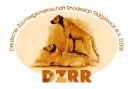 DZRR
